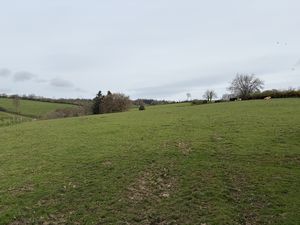 Paddock- click for photo gallery